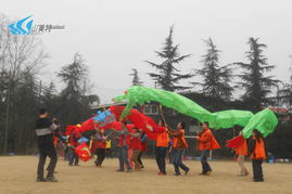 山美特 专业体验式拓展训练，赋能团队凝聚力与协作力