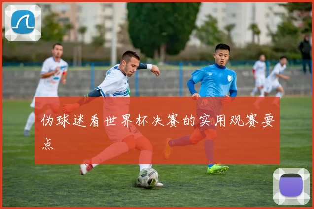 伪球迷看世界杯决赛的实用观赛要点