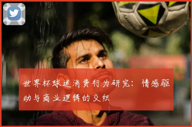 世界杯球迷消费行为研究：情感驱动与商业逻辑的交织