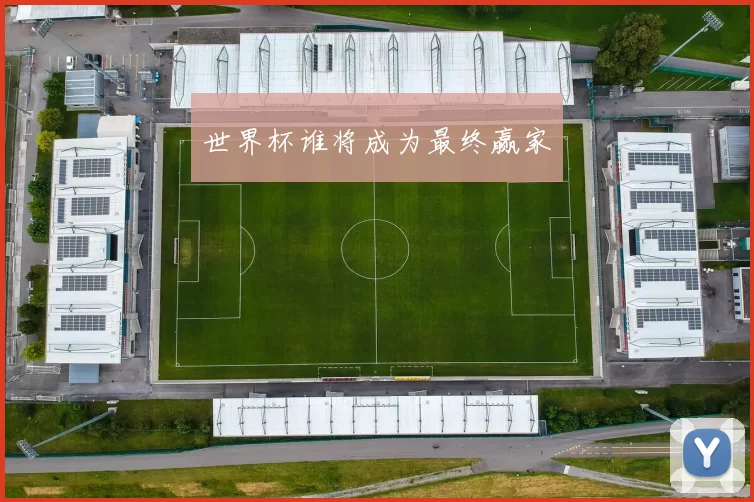 世界杯谁将成为最终赢家