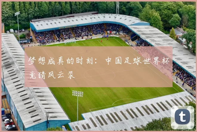 梦想成真的时刻:中国足球世界杯竞猜风云录