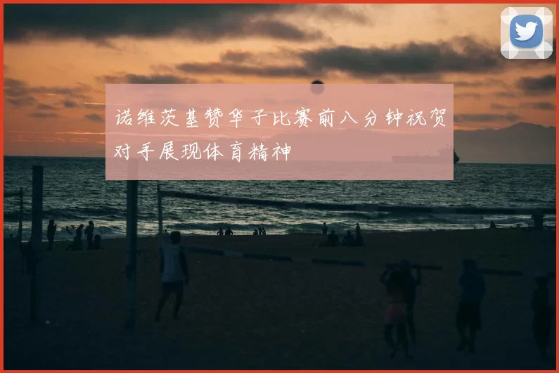 诺维茨基赞华子比赛前八分钟祝贺对手展现体育精神