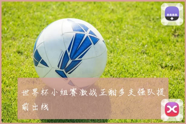 世界杯小组赛激战正酣多支强队提前出线
