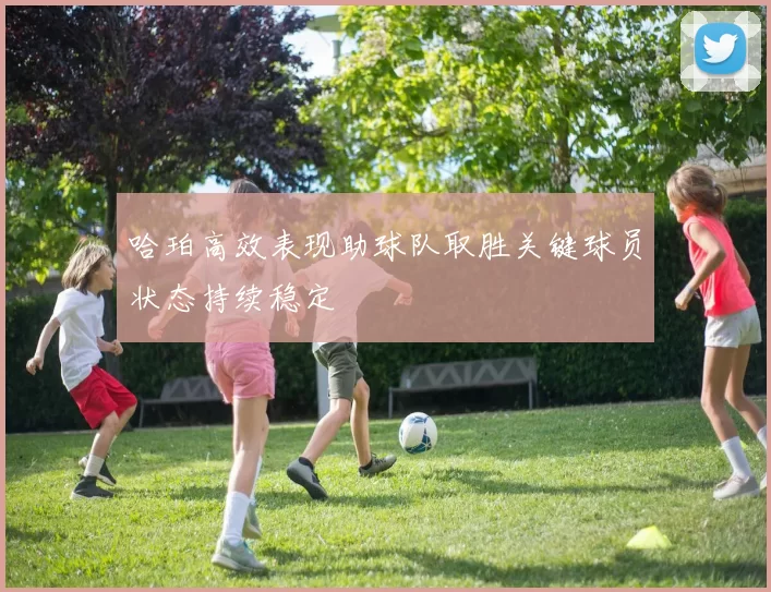 哈珀高效表现助球队取胜关键球员状态持续稳定