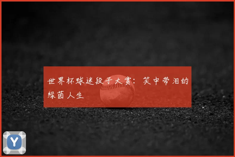 世界杯球迷段子大赏：笑中带泪的绿茵人生