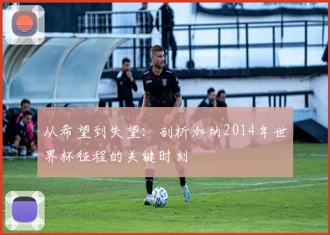 从希望到失望：剖析加纳2014年世界杯征程的关键时刻