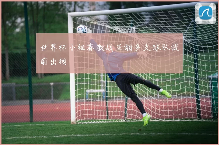 世界杯小组赛激战正酣多支球队提前出线