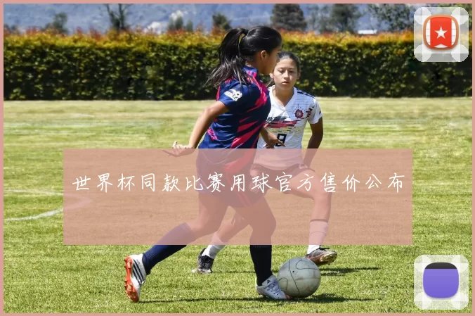 世界杯同款比赛用球官方售价公布