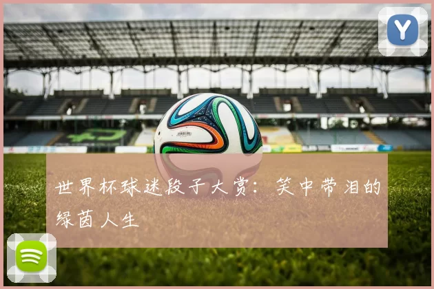 世界杯球迷段子大赏:笑中带泪的绿茵人生