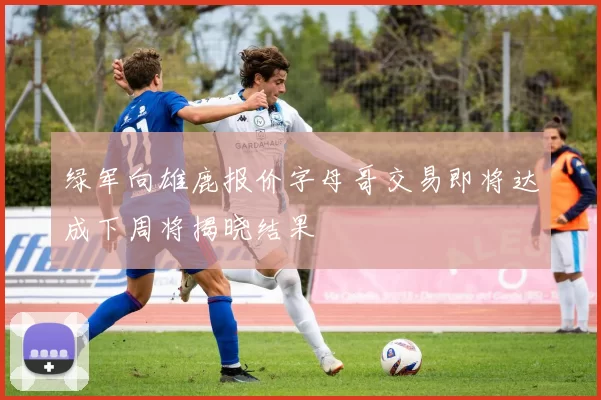 绿军向雄鹿报价字母哥交易即将达成下周将揭晓结果