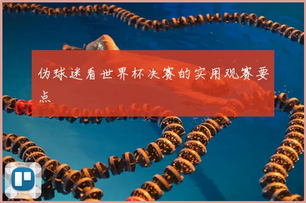 伪球迷看世界杯决赛的实用观赛要点