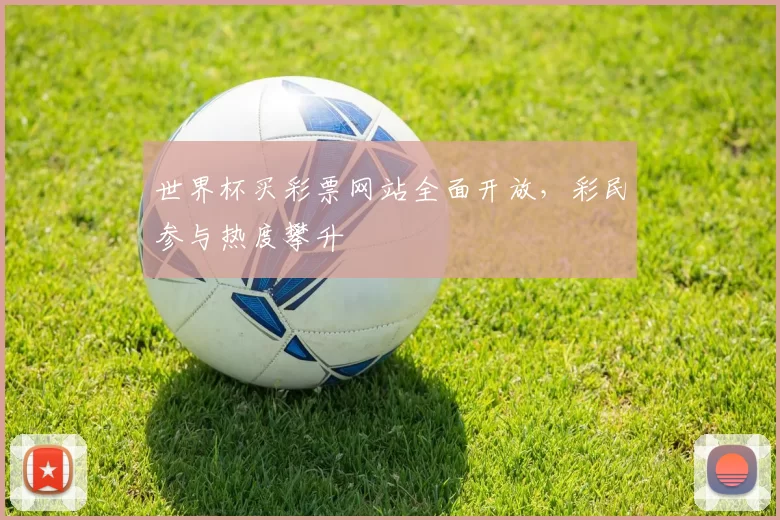 世界杯买彩票网站全面开放,彩民参与热度攀升